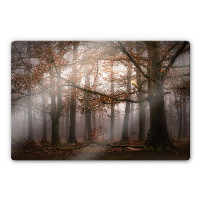 Glasbild Dingemans - Nebel im Herbstwald