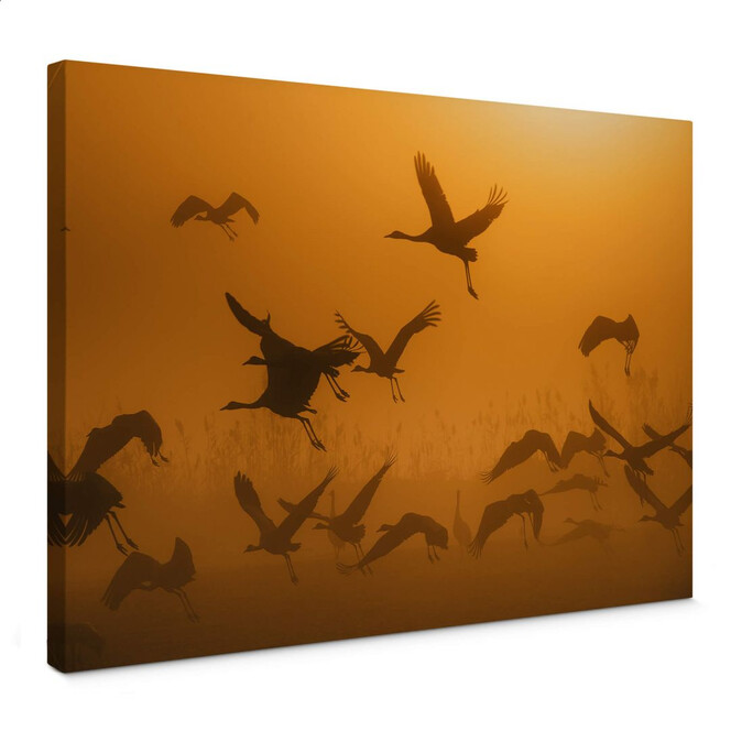 Leinwandbild Rosenblatt - Vogelschwarm im Morgengrauen