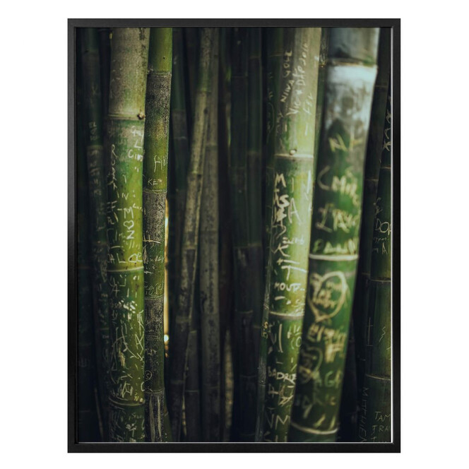 Poster Grüner Bambus