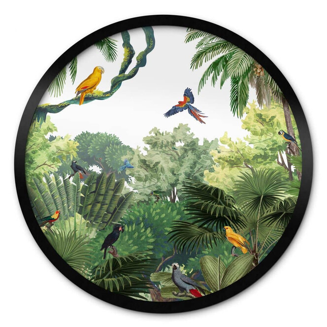 Poster Kikki Belle - Tropische Vögel - Rund
