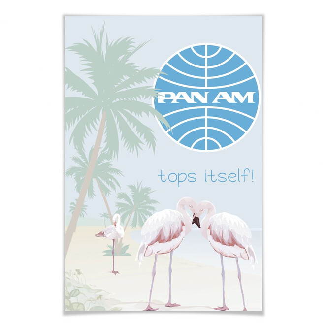 Poster PAN AM - Flamingobucht
