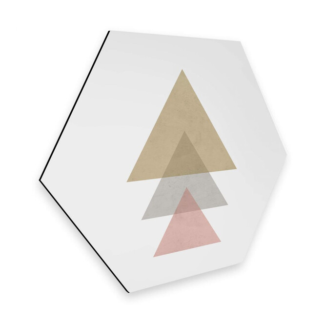Hexagon - Alu-Dibond Nouveauprints - Triangles pink