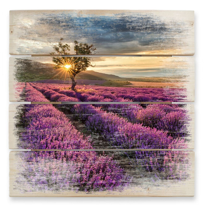 Holzbild Lavendelblüte in der Provence