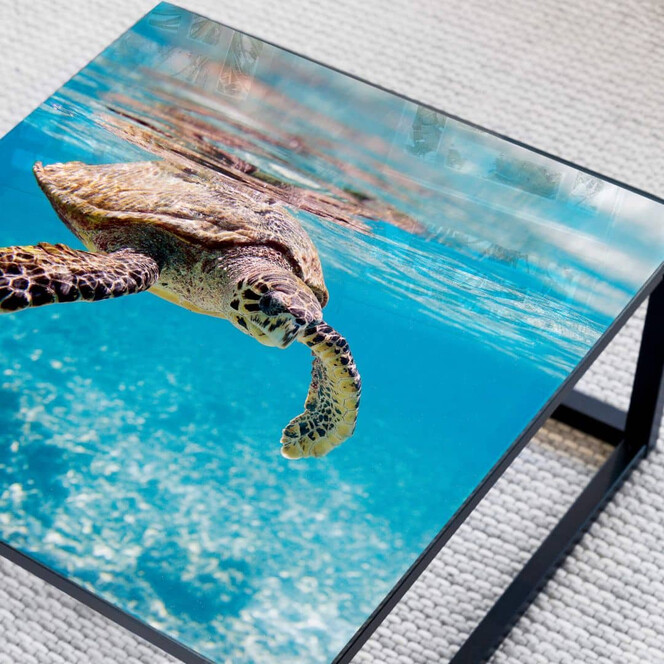 Tischplatte aus Glas - Schildkröte auf Reisen- Quadratisch - 60x60cm - Bild 1