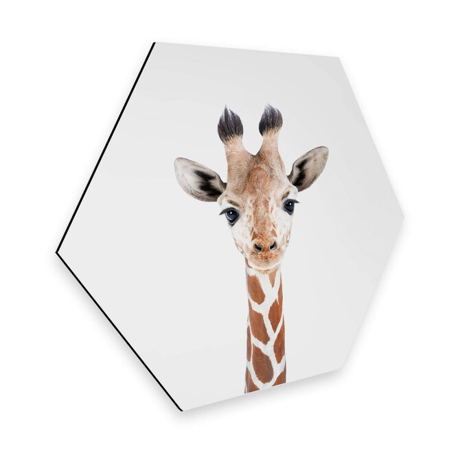 Hexagon - Alu-Dibond Sisi & Seb - Baby Giraffe