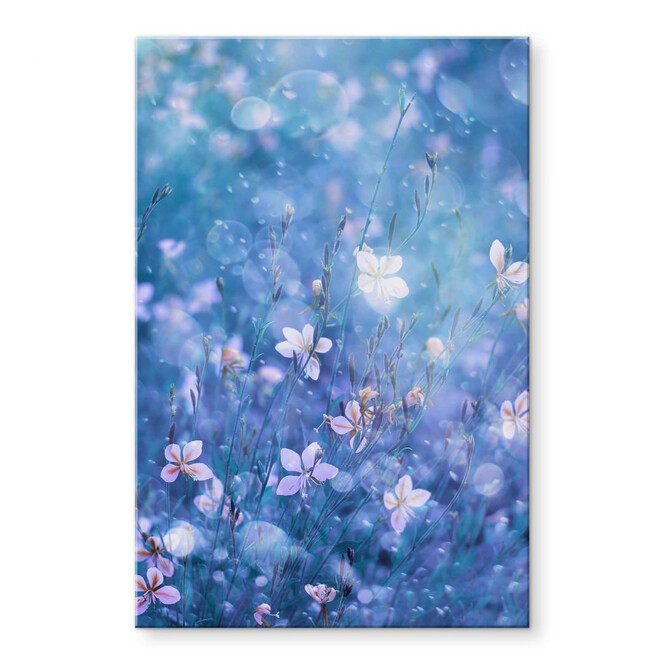 Acrylglasbild Devos - Blütenzauber