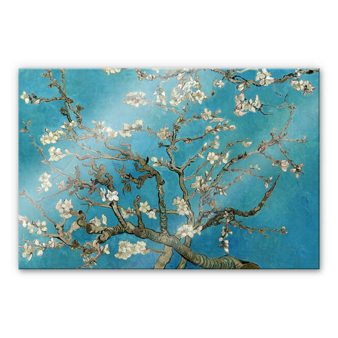 Acrylglasbild van Gogh - Mandelblüte