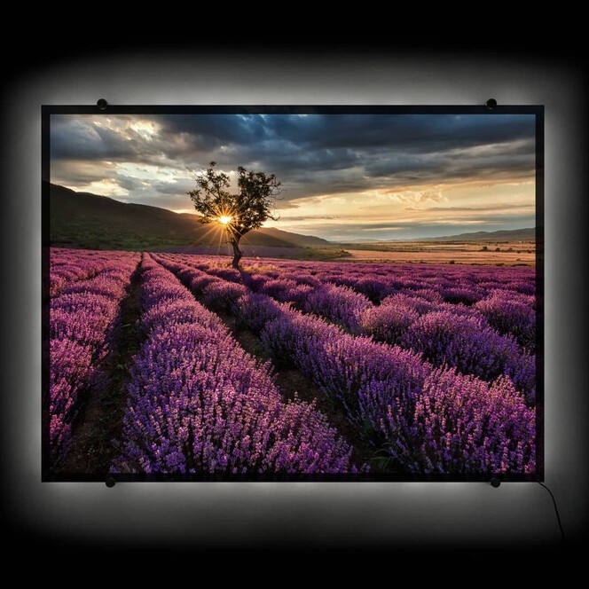LED Wandbild Lavendelblüte in der Provence - 80x60cm - Bild 1