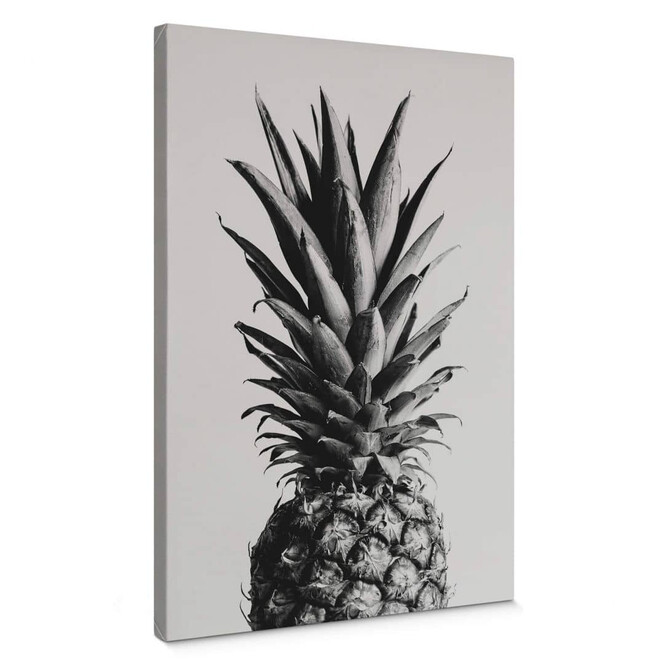 Leinwandbild 1X Studio - Ananas