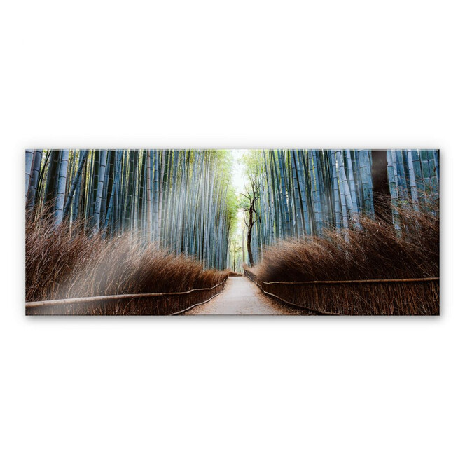 Acrylglasbild Colombo - Die Bambushöhle in Japan -Panorama