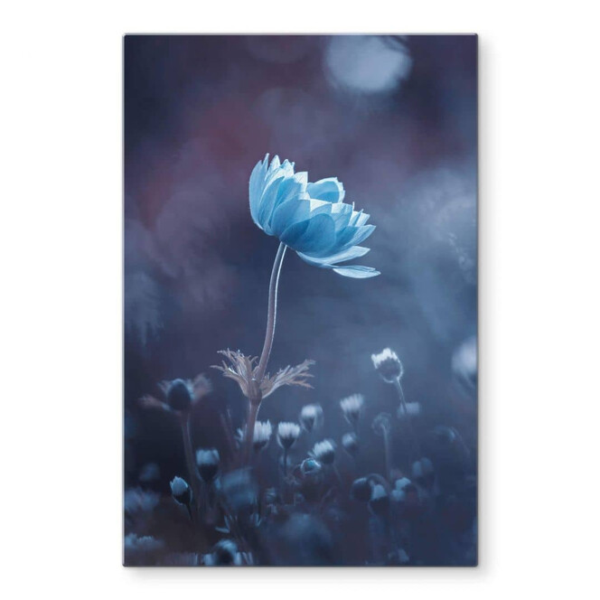 Glasbild Bravin - Die blaue Blume