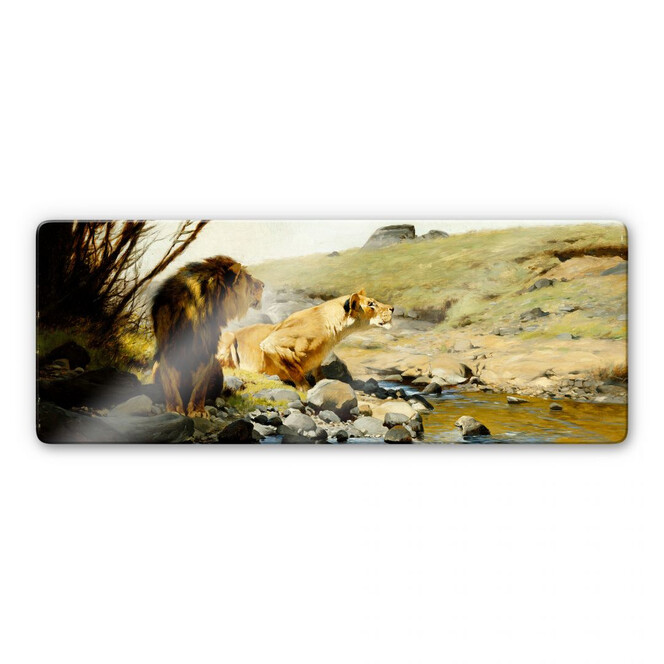 Glasbild Kuhnert - Ein Löwe und eine Löwin an einem Bach