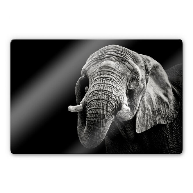 Glasbild Meermann - Der Elefant