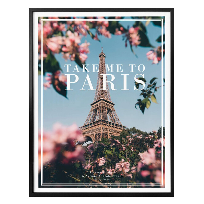 Poster - Take me to Paris