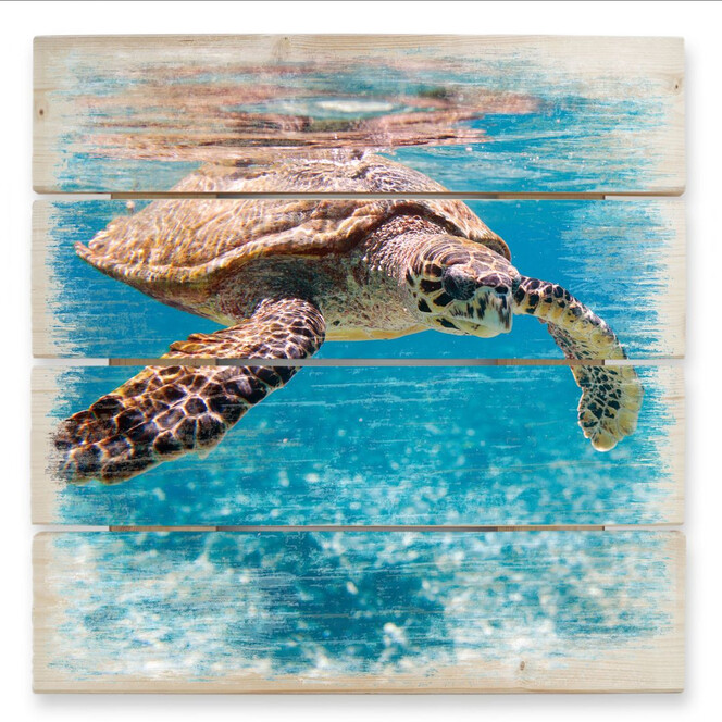 Holzbild Schildkröte auf Reisen