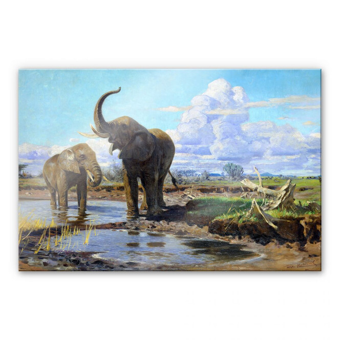 Acrylglasbild Kuhnert - Elefanten an der Wasserstelle