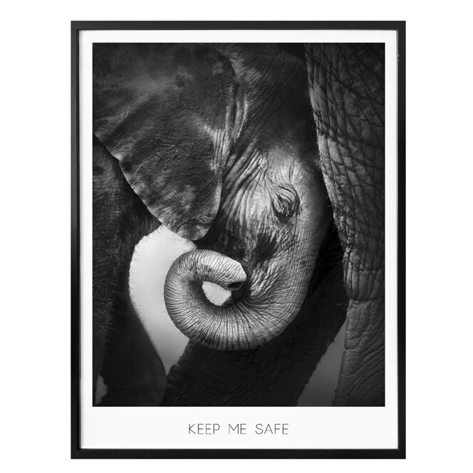 Poster Das Elefantenbaby - Keep me safe