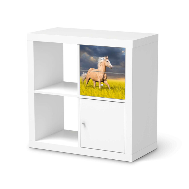 Möbelfolie IKEA IKEA Expedit Regal Schubladen - Wildpferd- Bild 1