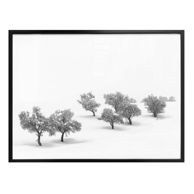 Poster Carrillo Lopez - Weisse Landschaft mit Bäumen