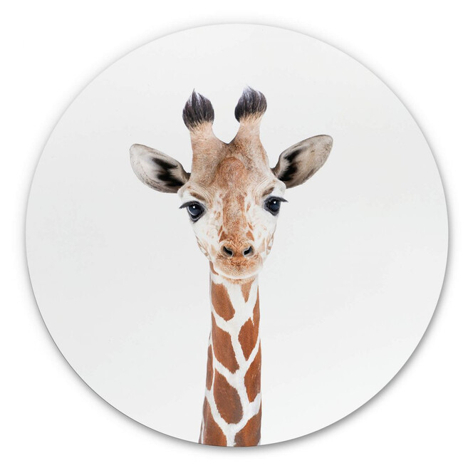 Alu-Dibond Sisi & Seb - Baby Giraffe - Rund