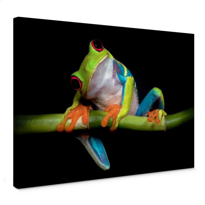 Leinwandbild Valverde - Green Frog