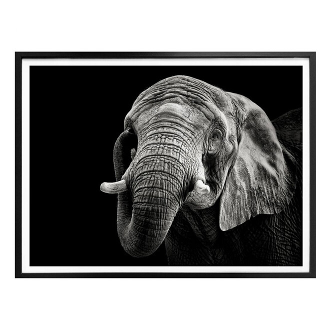Poster Meermann - Der Elefant