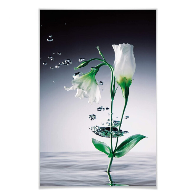 Giant Art® XXL-Poster Crystal Flowers - 115x175cm - Bild 1