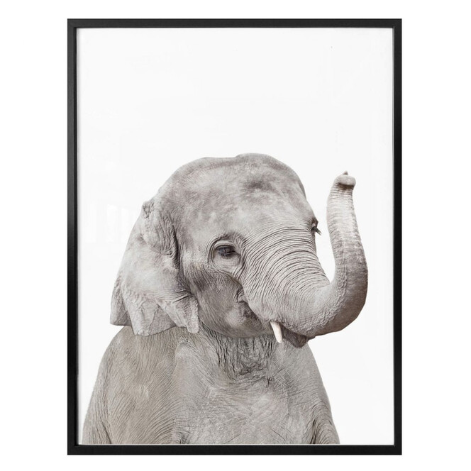 Poster Sisi & Seb - Baby Elefant