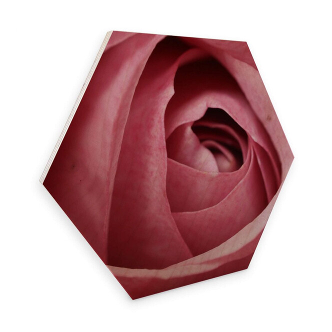 Hexagon - Holz Birke-Furnier - Die rosa Rose