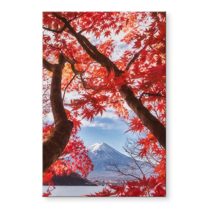 Acrylglasbild Samejima - Rote Blätter