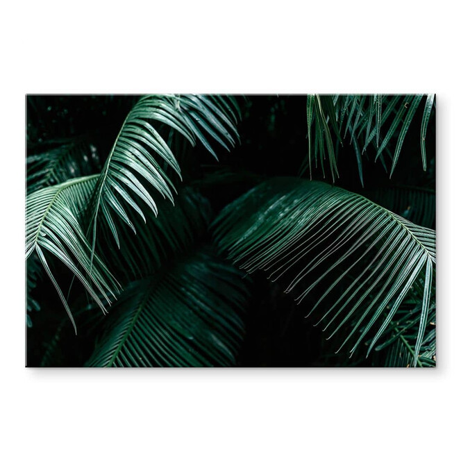 Acrylglasbild Tropische Botanik