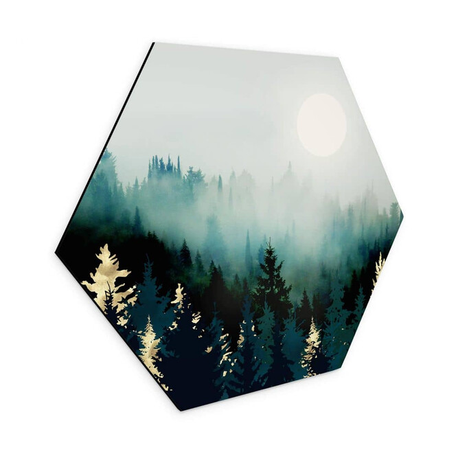 Hexagon Wandbild SpaceFrog Designs - Nebliger Wald - Alu-Dibond