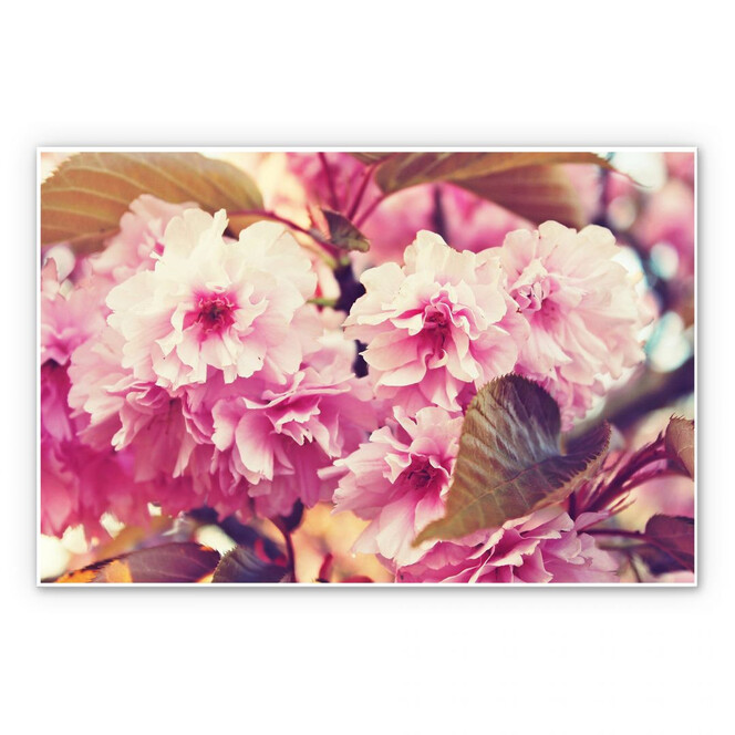 Wandbild Vintage Kirschblüten