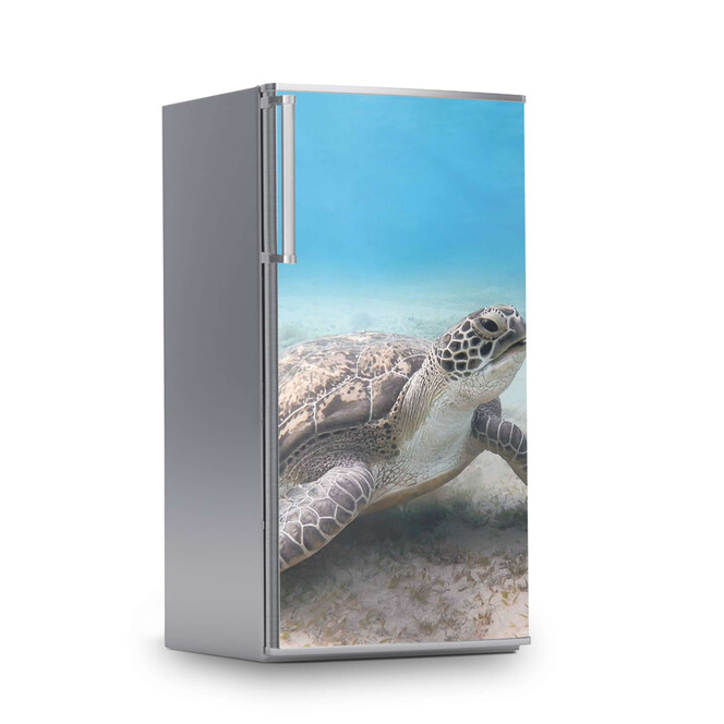 Kühlschrankfolie 60x120cm - Green Sea Turtle- Bild 1