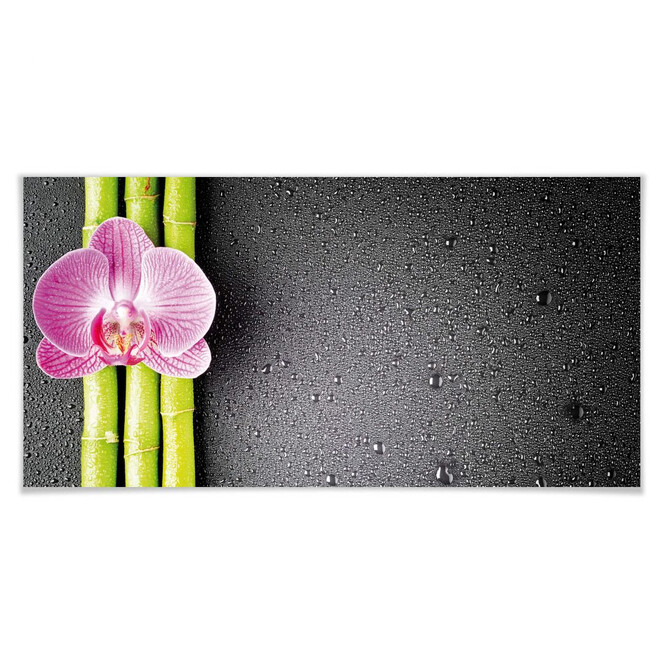 Poster Orchid and Bamboo - Panorama 02