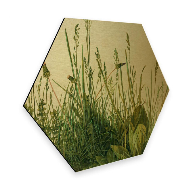 Hexagon - Alu-Dibond Gold - Dürer - Das grosse Rasenstück