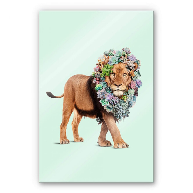 Acrylglasbild Loose - Succulent Lion