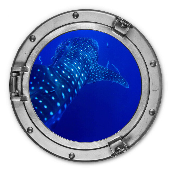 Alu-Dibond 3D-Optik Bullauge - Der Walhai - Rund