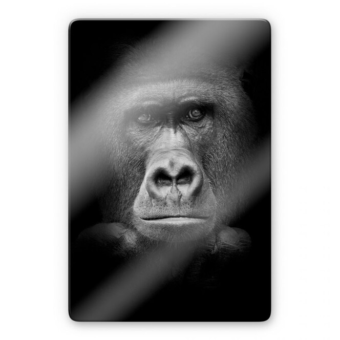 Glasbild Gorilla