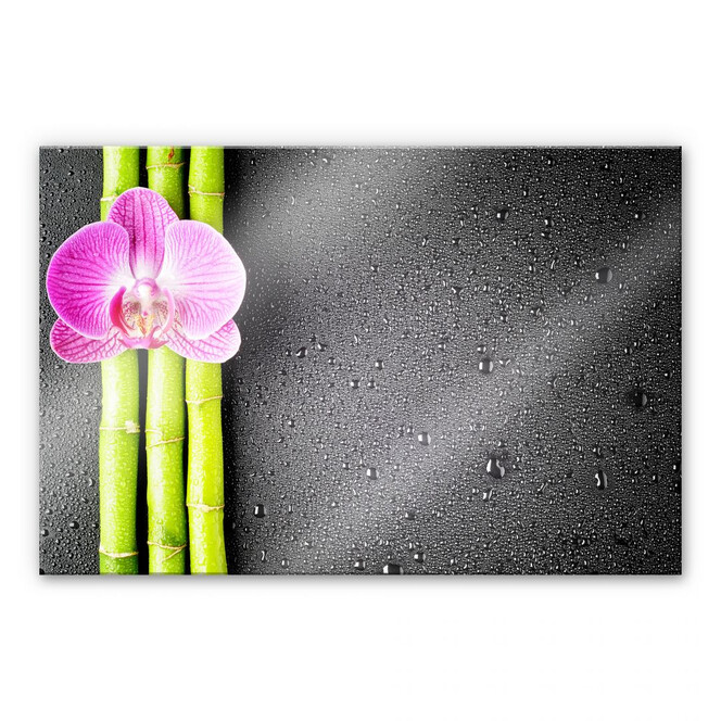 Acrylglasbild Orchid and Bamboo