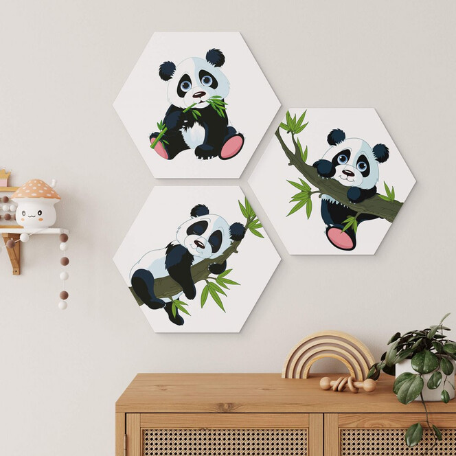 Alu-Dibond Wandbild Verspielte Pandas - 3er Set - Hexagon