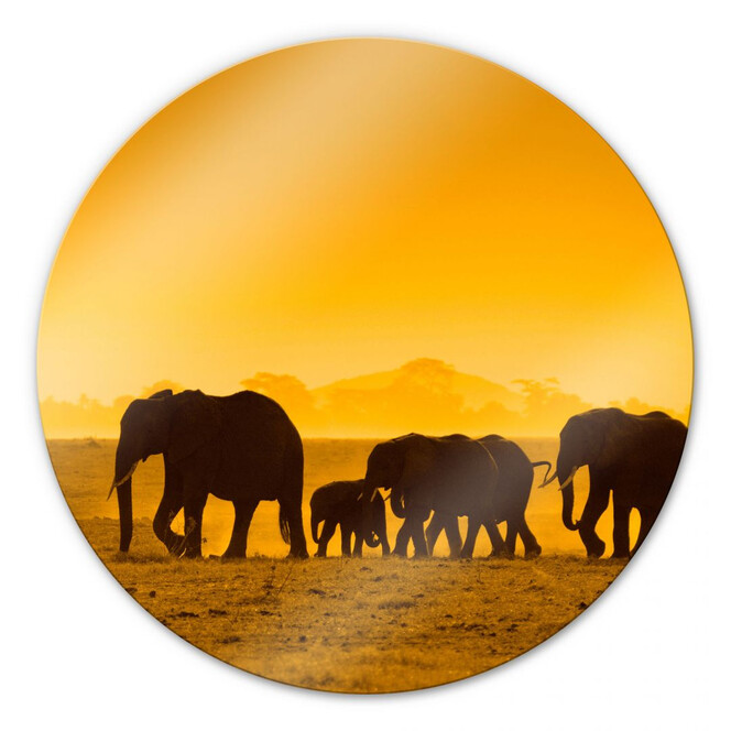 Glasbild Elefantensilhouetten - rund