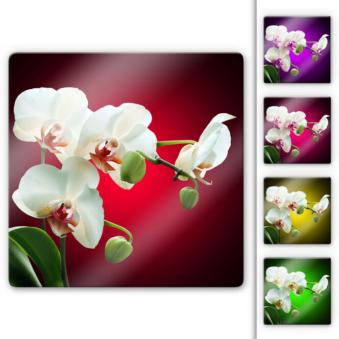 Glasbild Blütenpracht einer Orchidee - quadratisch