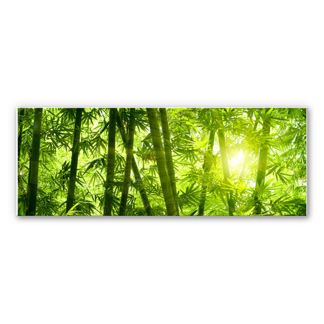 Wandbild Sonnenschein im Bambuswald - Panorama