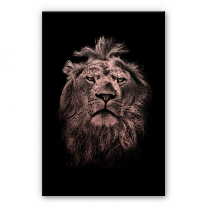 Alu-Dibond Bild mit Kupfereffekt Lion