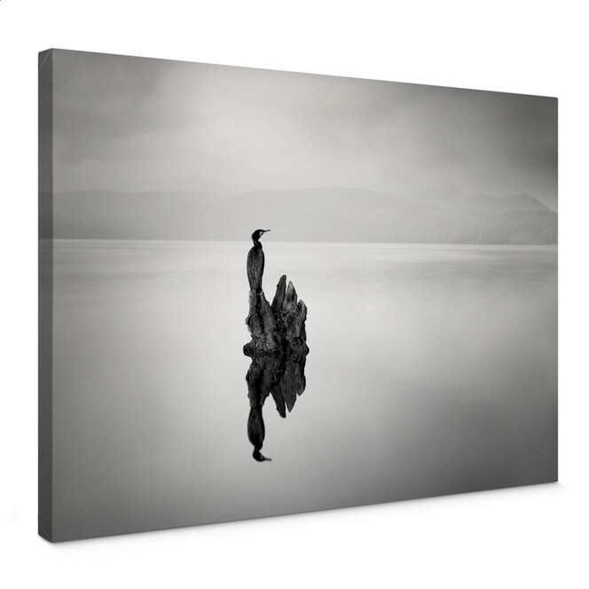 Leinwandbild Digalakis - Eleganter Wasservogel