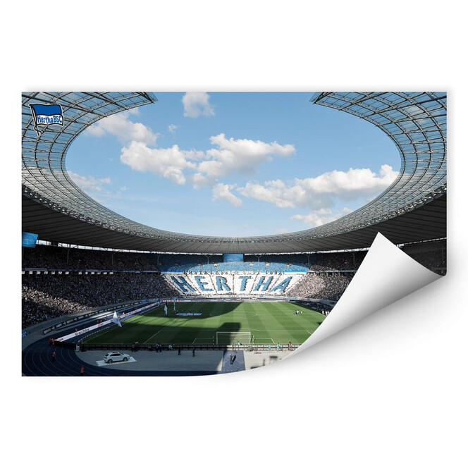 Wallprint Hertha BSC - Stadion am Tag