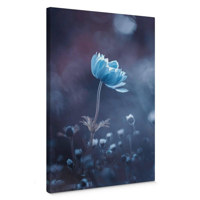 Leinwandbild Bravin - Die blaue Blume