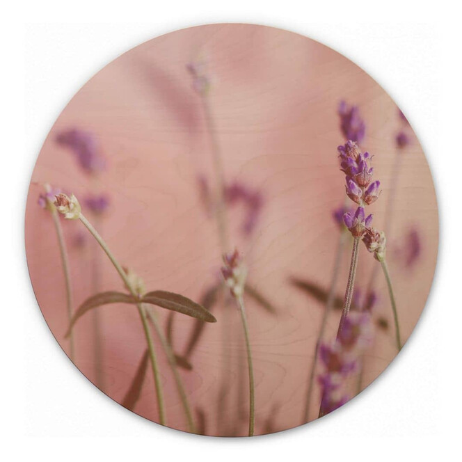 Holzbild Zarter Lavendel - Rund