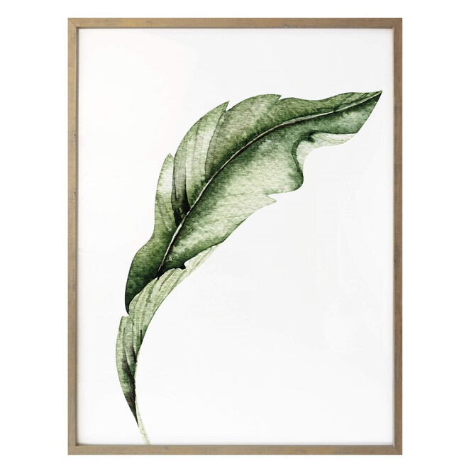 Poster Kvilis - Banana Leaf 02